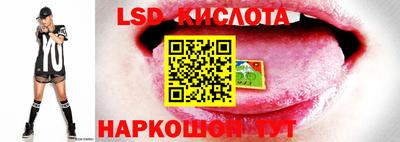 трава Краснодар