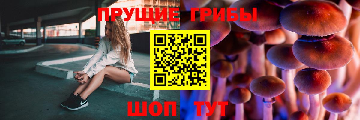 Псилоцибиновые грибы Magic Shrooms  Вход с VPN  Камышлов 